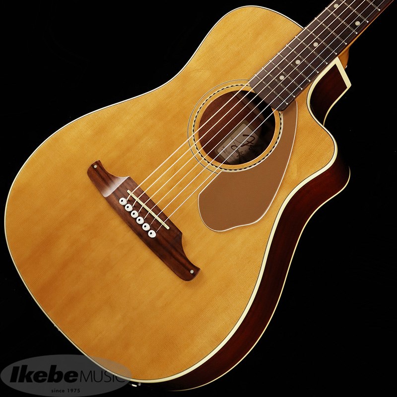 Fender Acoustics MALIBU CEの画像